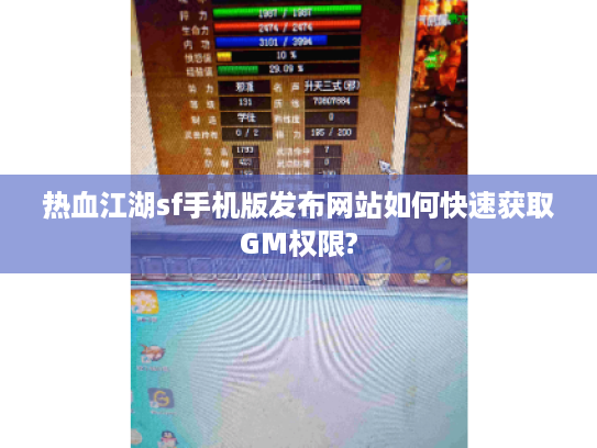 热血江湖sf手机版发布网站如何快速获取GM权限?