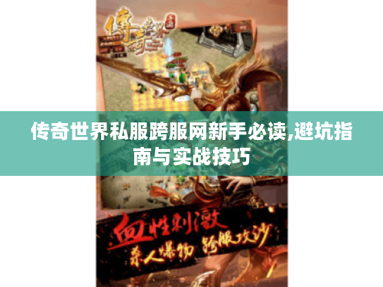 传奇世界私服跨服网新手必读,避坑指南与实战技巧