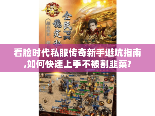 看脸时代私服传奇新手避坑指南,如何快速上手不被割韭菜?