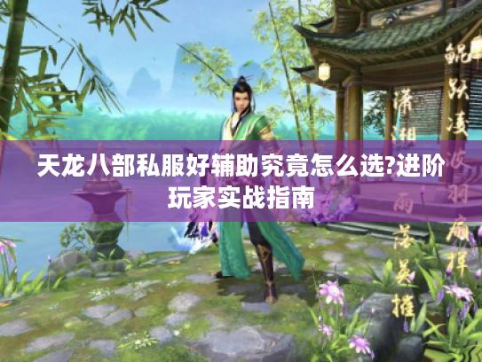 天龙八部私服好辅助究竟怎么选?进阶玩家实战指南