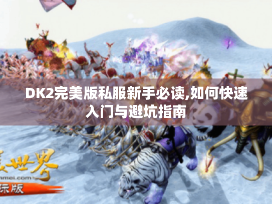 DK2完美版私服新手必读,如何快速入门与避坑指南