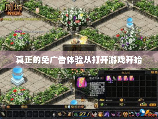 真正的免广告体验从打开游戏开始