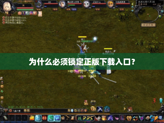为什么必须锁定正版下载入口？