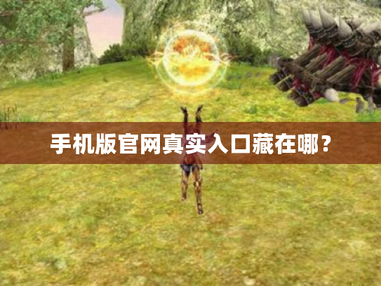 手机版官网真实入口藏在哪？