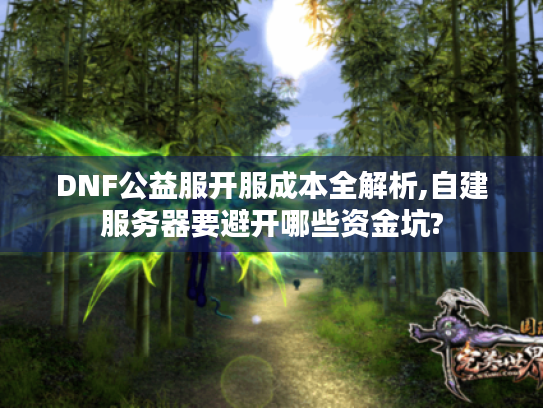 DNF公益服开服成本全解析,自建服务器要避开哪些资金坑?