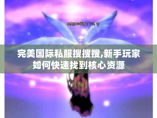 完美国际私服搜搜搜,新手玩家如何快速找到核心资源
