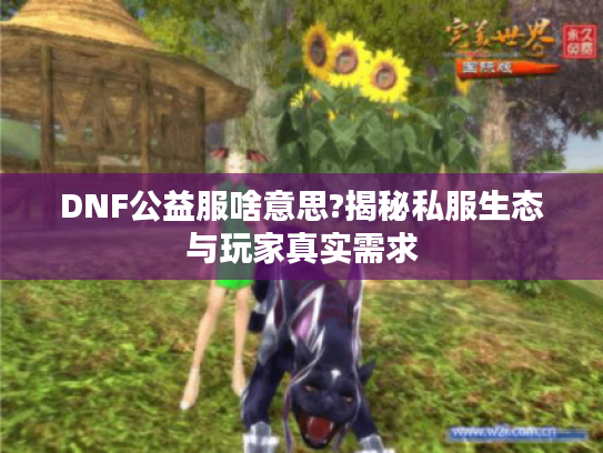 DNF公益服啥意思?揭秘私服生态与玩家真实需求