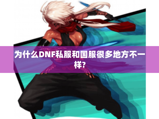 为什么DNF私服和国服很多地方不一样? 为什么DNF私服和国服很多地方不一样?