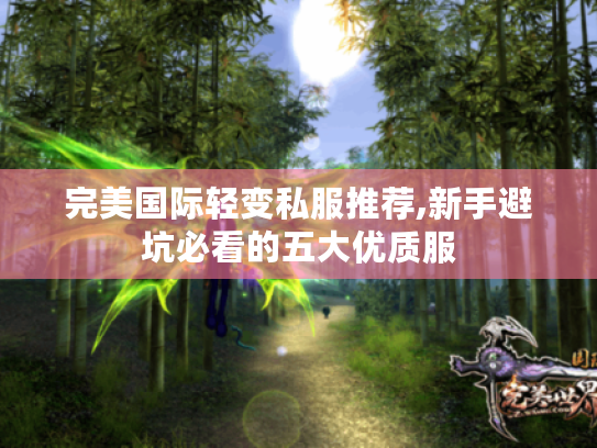 完美国际轻变私服推荐,新手避坑必看的五大优质服