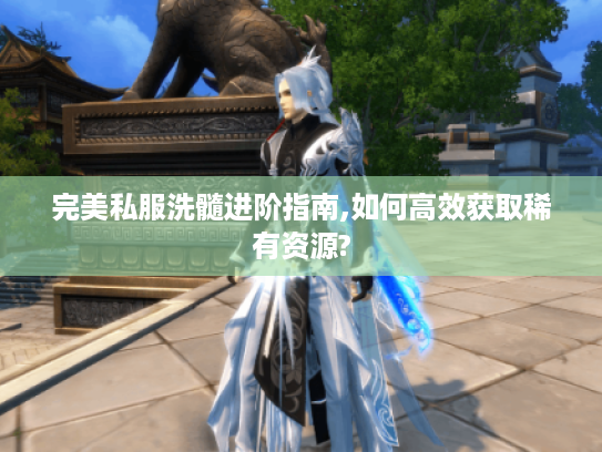 完美私服洗髓进阶指南,如何高效获取稀有资源?