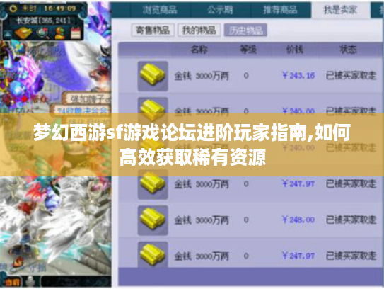 梦幻西游sf游戏论坛进阶玩家指南,如何高效获取稀有资源