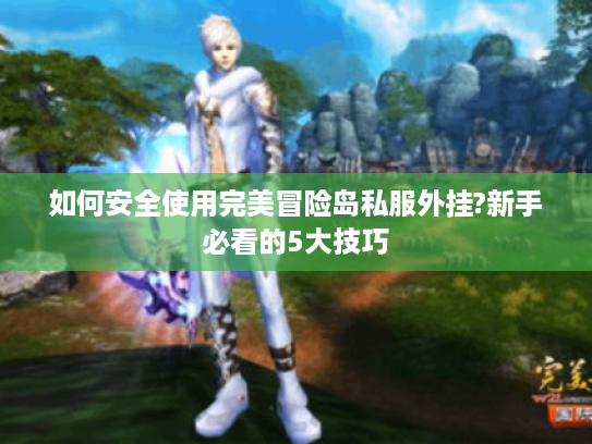 如何安全使用完美冒险岛私服外挂?新手必看的5大技巧