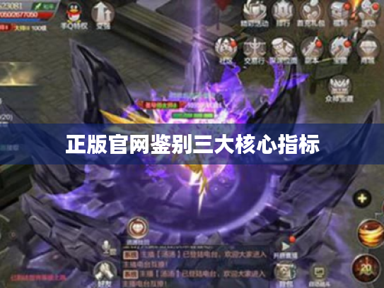 正版官网鉴别三大核心指标