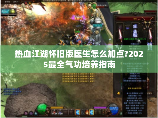 热血江湖怀旧版医生怎么加点?2025最全气功培养指南