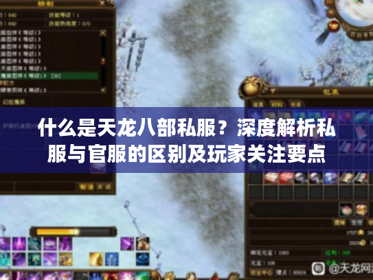 什么是天龙八部私服？深度解析私服与官服的区别及玩家关注要点