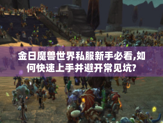 金日魔兽世界私服新手必看,如何快速上手并避开常见坑?
