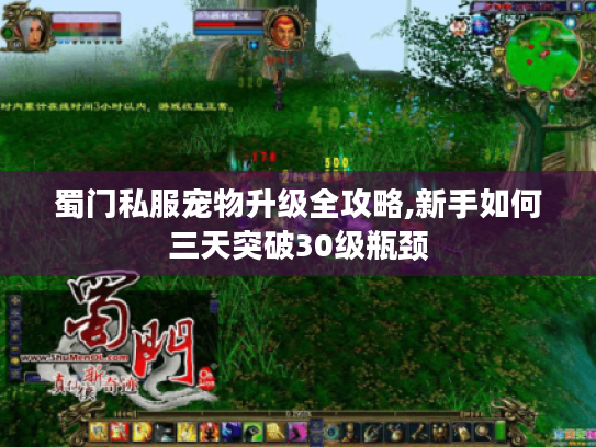 蜀门私服宠物升级全攻略,新手如何三天突破30级瓶颈