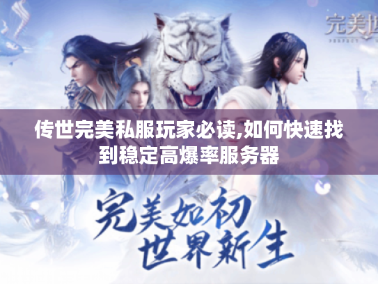 传世完美私服玩家必读,如何快速找到稳定高爆率服务器
