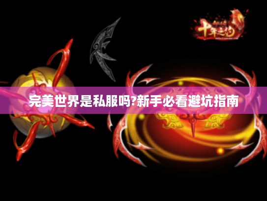 完美世界是私服吗?新手必看避坑指南