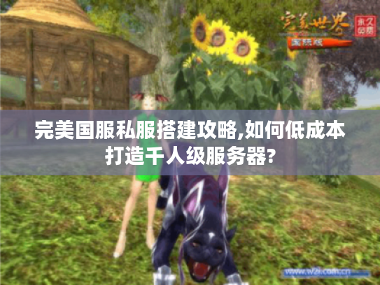 完美国服私服搭建攻略,如何低成本打造千人级服务器?