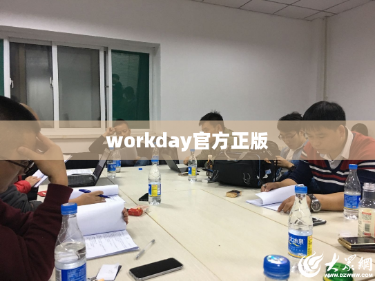 workday官方正版