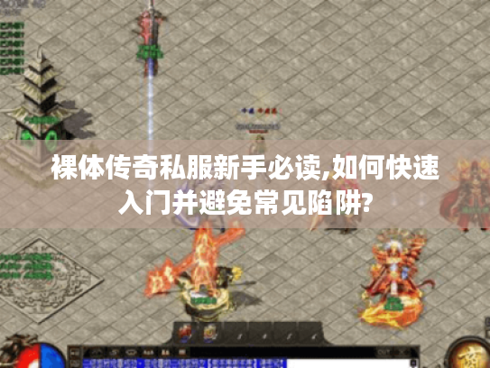 裸体传奇私服新手必读,如何快速入门并避免常见陷阱?