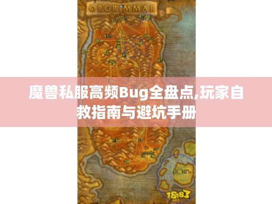 魔兽私服高频Bug全盘点,玩家自救指南与避坑手册