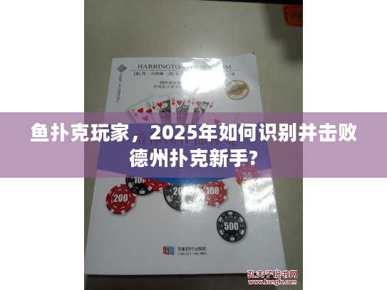 鱼扑克玩家，2025年如何识别并击败德州扑克新手?