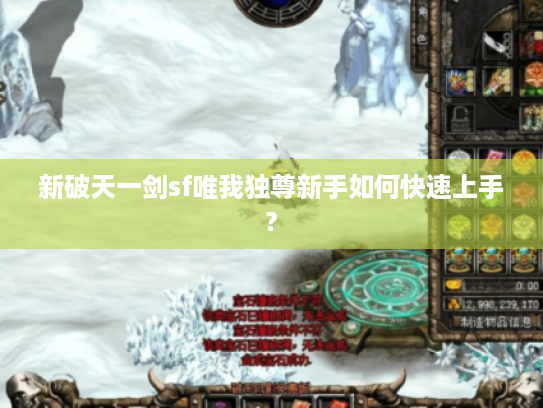 新破天一剑sf唯我独尊新手如何快速上手?