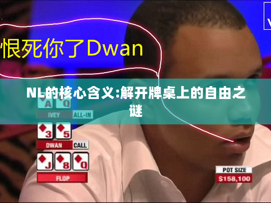 NL的核心含义:解开牌桌上的自由之谜