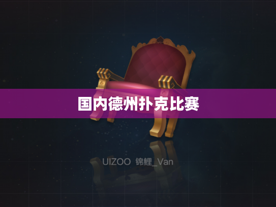 国内德州扑克比赛