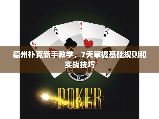 德州扑克新手教学，7天掌握基础规则和实战技巧
