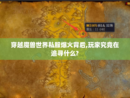 穿越魔兽世界私服爆火背后,玩家究竟在追寻什么?