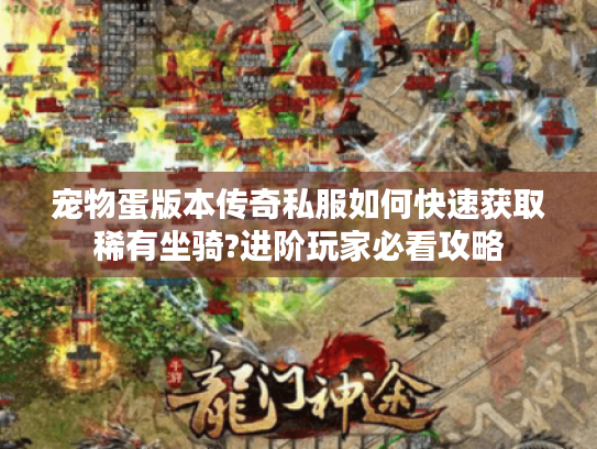 宠物蛋版本传奇私服如何快速获取稀有坐骑?进阶玩家必看攻略