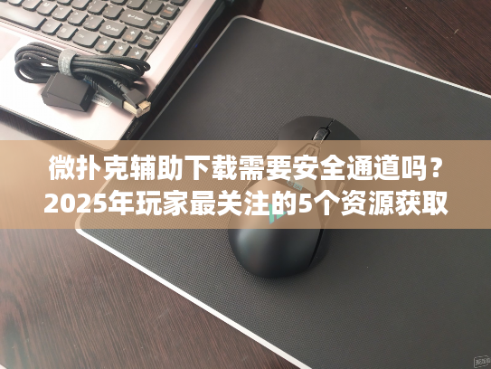 微扑克辅助下载需要安全通道吗？2025年玩家最关注的5个资源获取指南