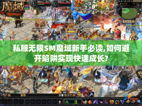 私服无限SM魔域新手必读,如何避开陷阱实现快速成长?