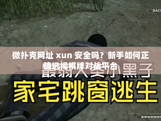 微扑克网址 xun 安全吗?新手如何正确选择棋牌对战平台 微扑克网址 xun 安全吗?新手如何正确选择棋牌对战平台
