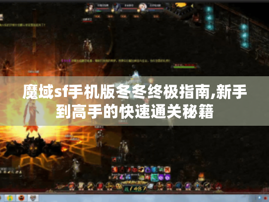 魔域sf手机版冬冬终极指南,新手到高手的快速通关秘籍