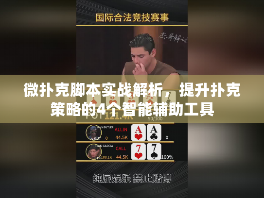 微扑克脚本实战解析，提升扑克策略的4个智能辅助工具