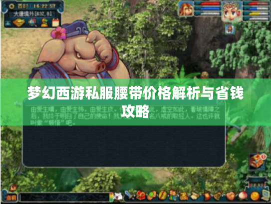 梦幻西游私服腰带价格解析与省钱攻略 梦幻西游私服腰带价格解析与省钱攻略