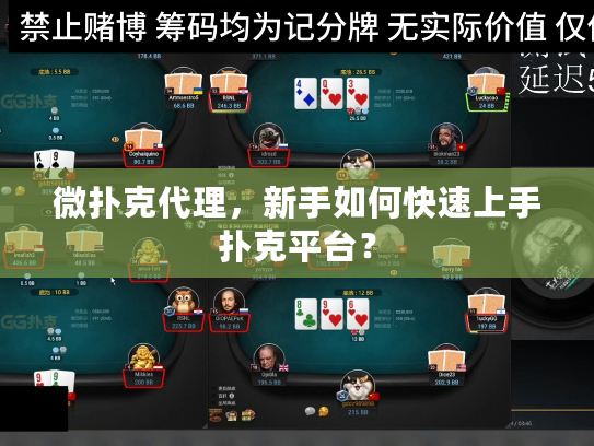 微扑克代理，新手如何快速上手扑克平台？