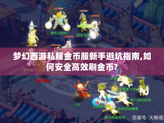 梦幻西游私服金币服新手避坑指南,如何安全高效刷金币?