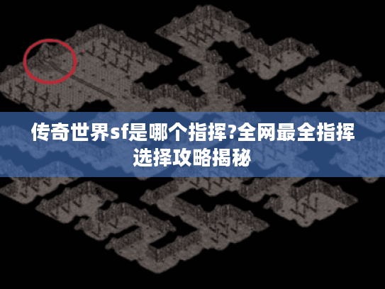 传奇世界sf是哪个指挥?全网最全指挥选择攻略揭秘