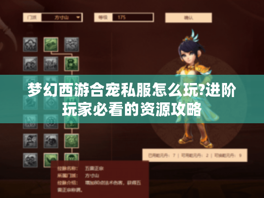 梦幻西游合宠私服怎么玩?进阶玩家必看的资源攻略