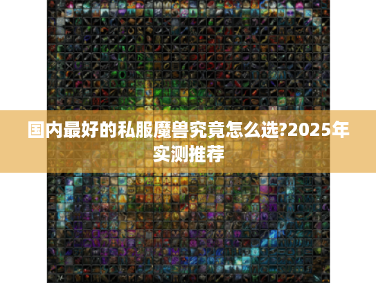 国内最好的私服魔兽究竟怎么选?2025年实测推荐