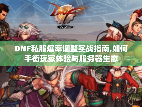 DNF私服爆率调整实战指南,如何平衡玩家体验与服务器生态