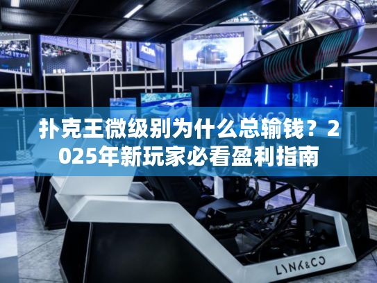 扑克王微级别为什么总输钱？2025年新玩家必看盈利指南