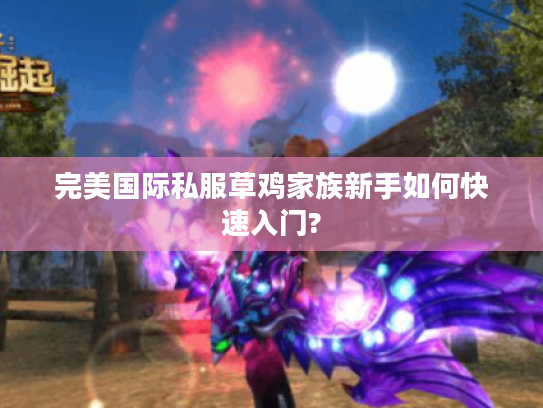 完美国际私服草鸡家族新手如何快速入门?