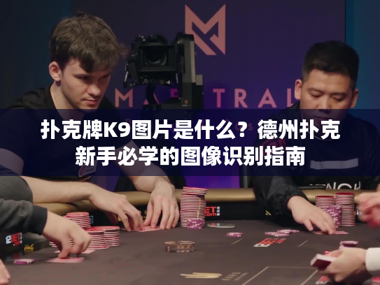 扑克牌K9图片是什么？德州扑克新手必学的图像识别指南