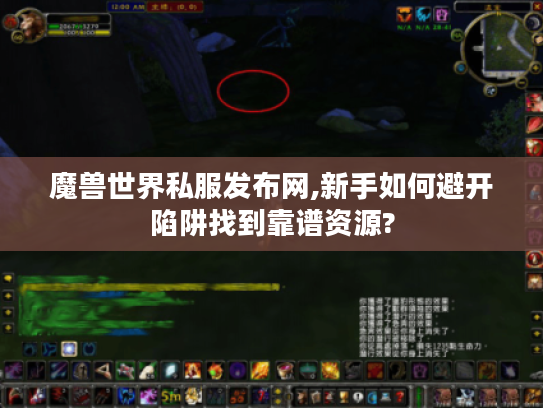 魔兽世界私服发布网,新手如何避开陷阱找到靠谱资源?